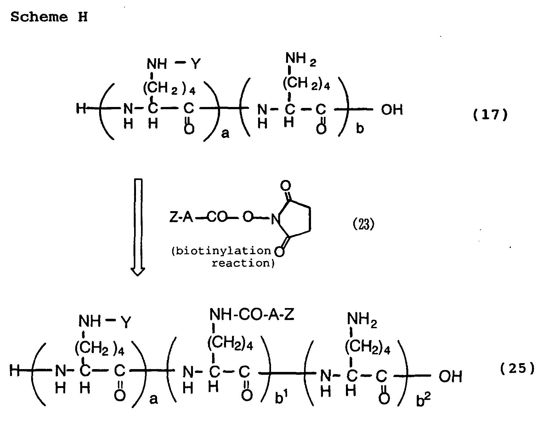 Figure 00490001