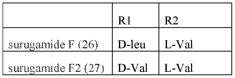 Figure imgf000018_0002
