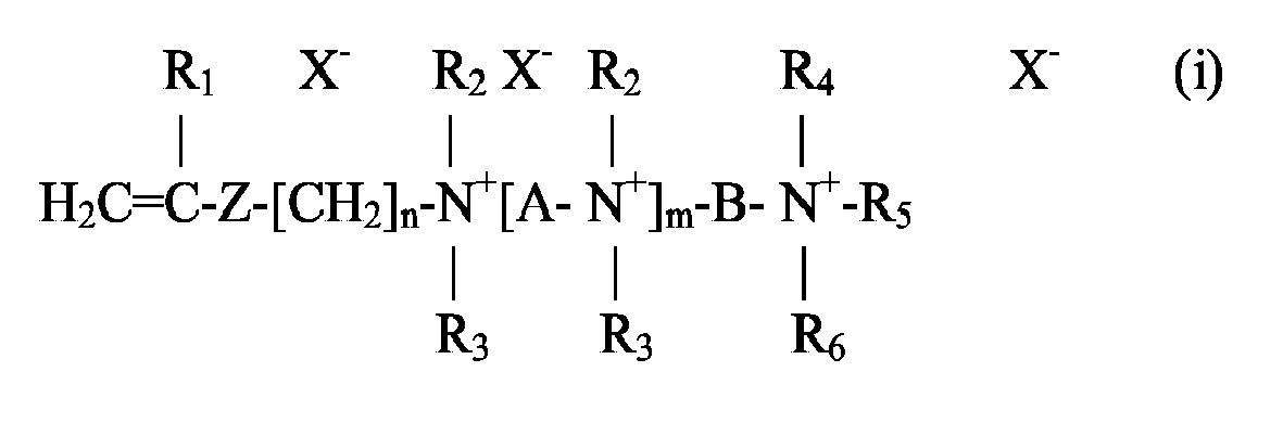 Figure imgb0019