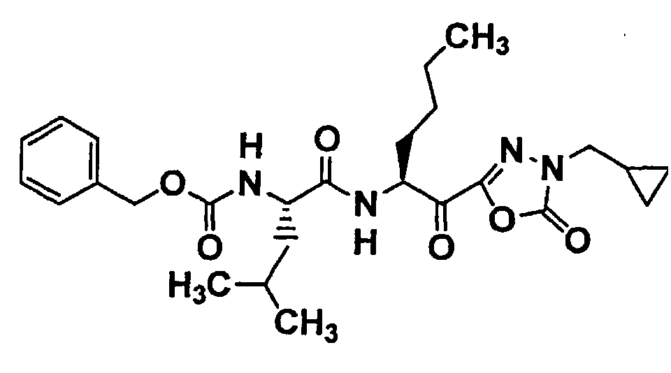 Figure 02460001