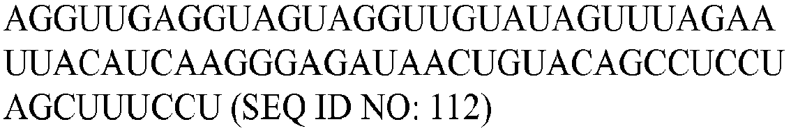 Figure imgb0110