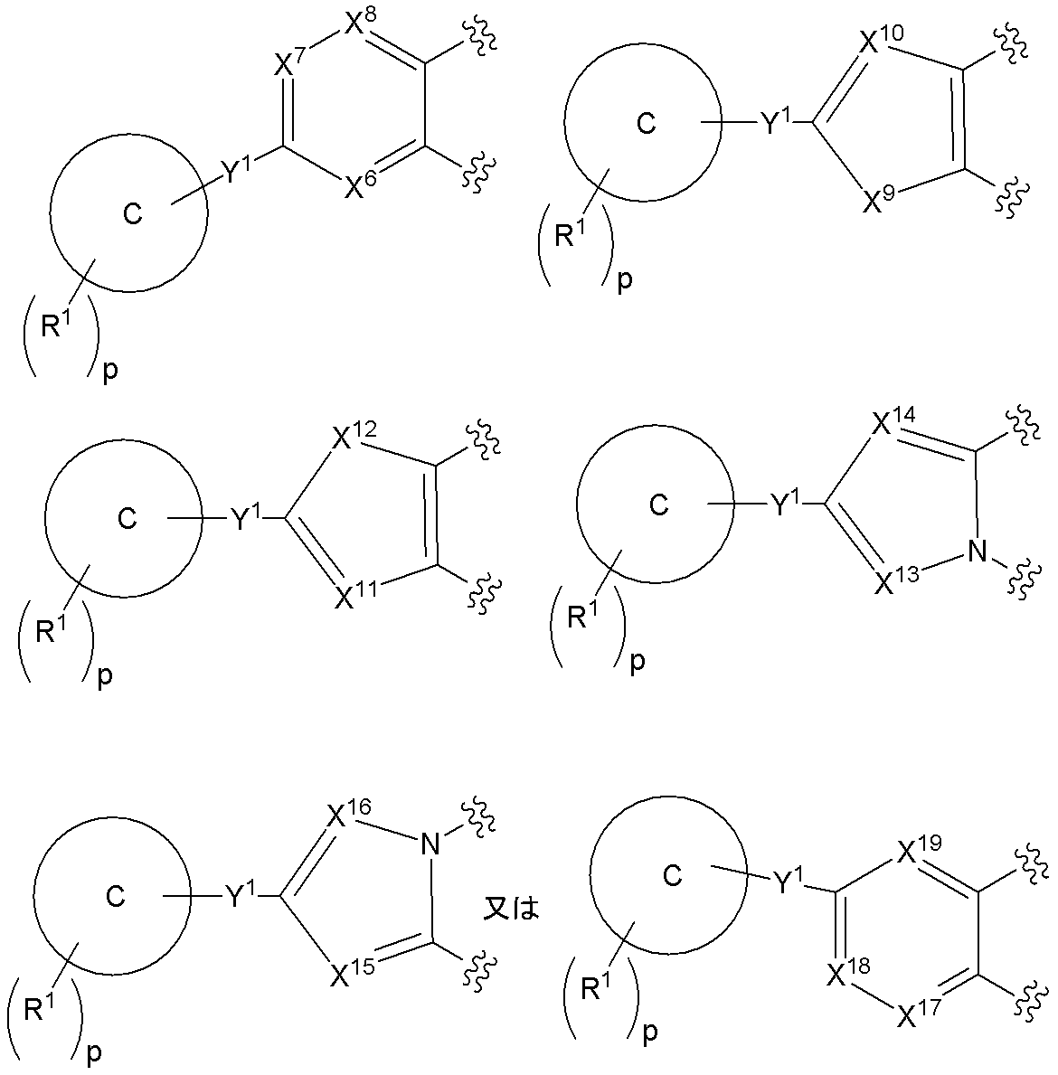 Figure JPOXMLDOC01-appb-C000040