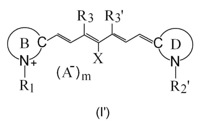 Figure JPOXMLDOC01-appb-C000009