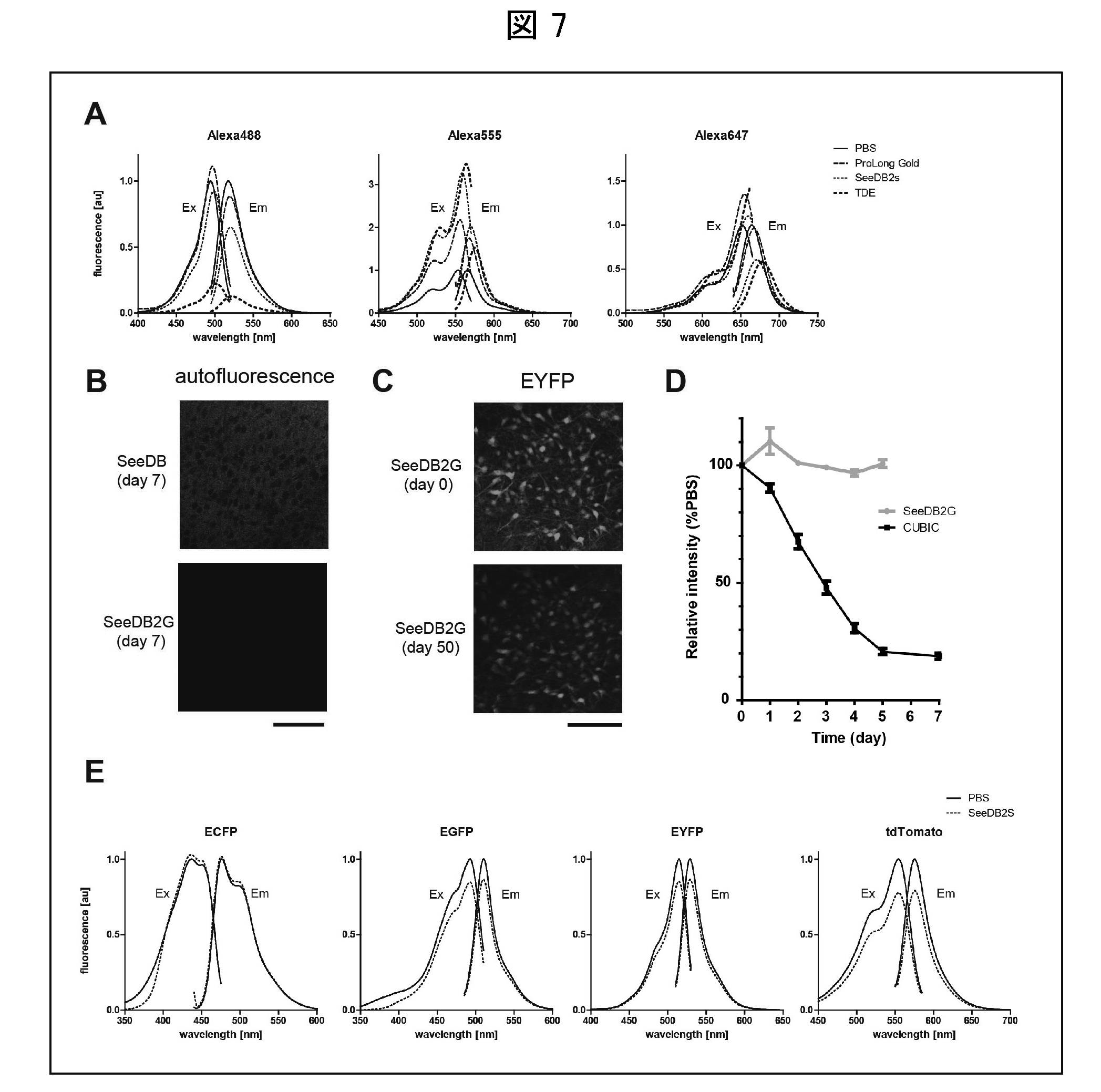 Woa1 Method For Observing Biological Material And Clearing Method Google Patents Woa1 Method For Observing Biological Material And Clearing Method Google Patents
