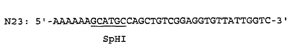 Figure 00220002