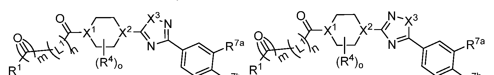 Figure imgf000017_0002