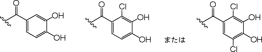 Figure JPOXMLDOC01-appb-C000011