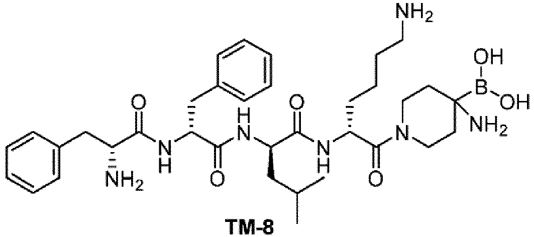 Figure imgb0045