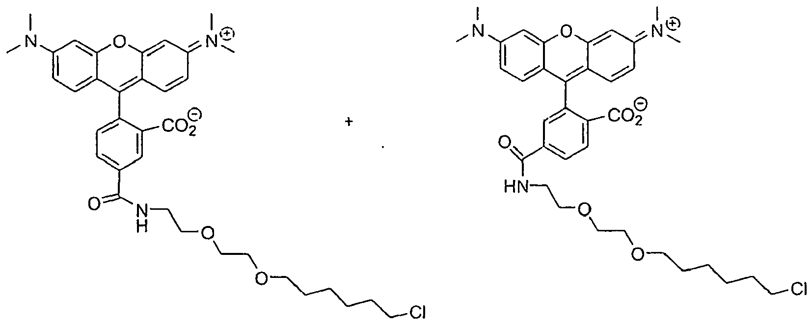 Figure imgb0010