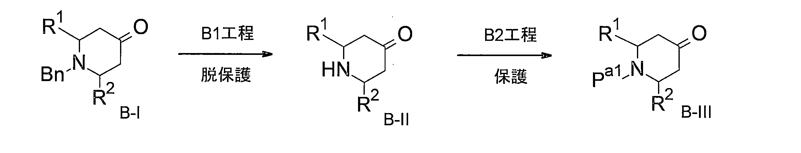Figure JPOXMLDOC01-appb-C000057