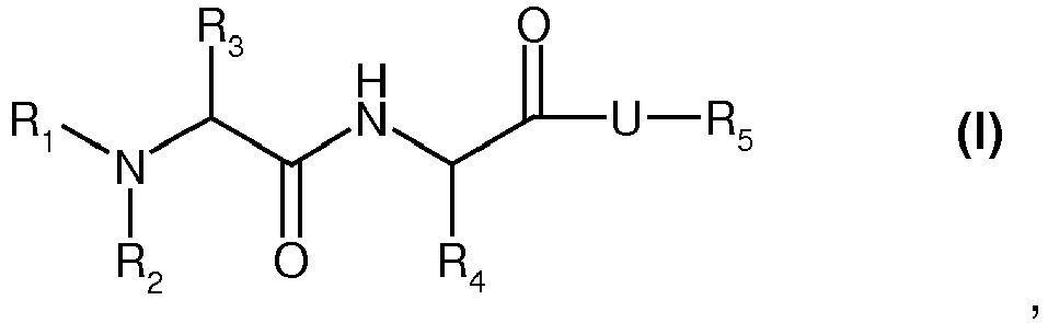 Figure imgb0002