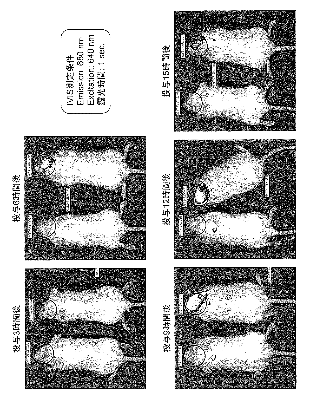 WO2017086467A1 - 抗腫瘍性ドラッグデリバリー製剤 - Google Patents