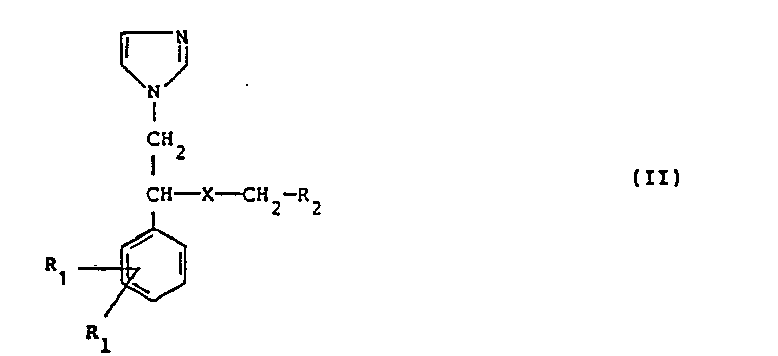 Figure imgb0002