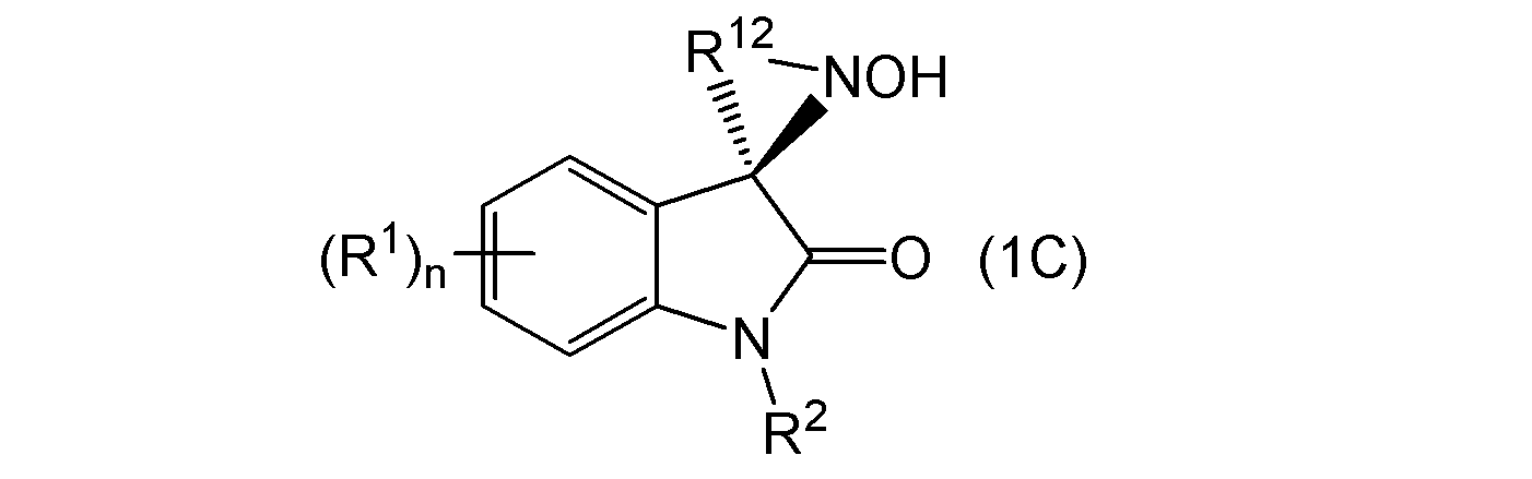 Figure JPOXMLDOC01-appb-C000024