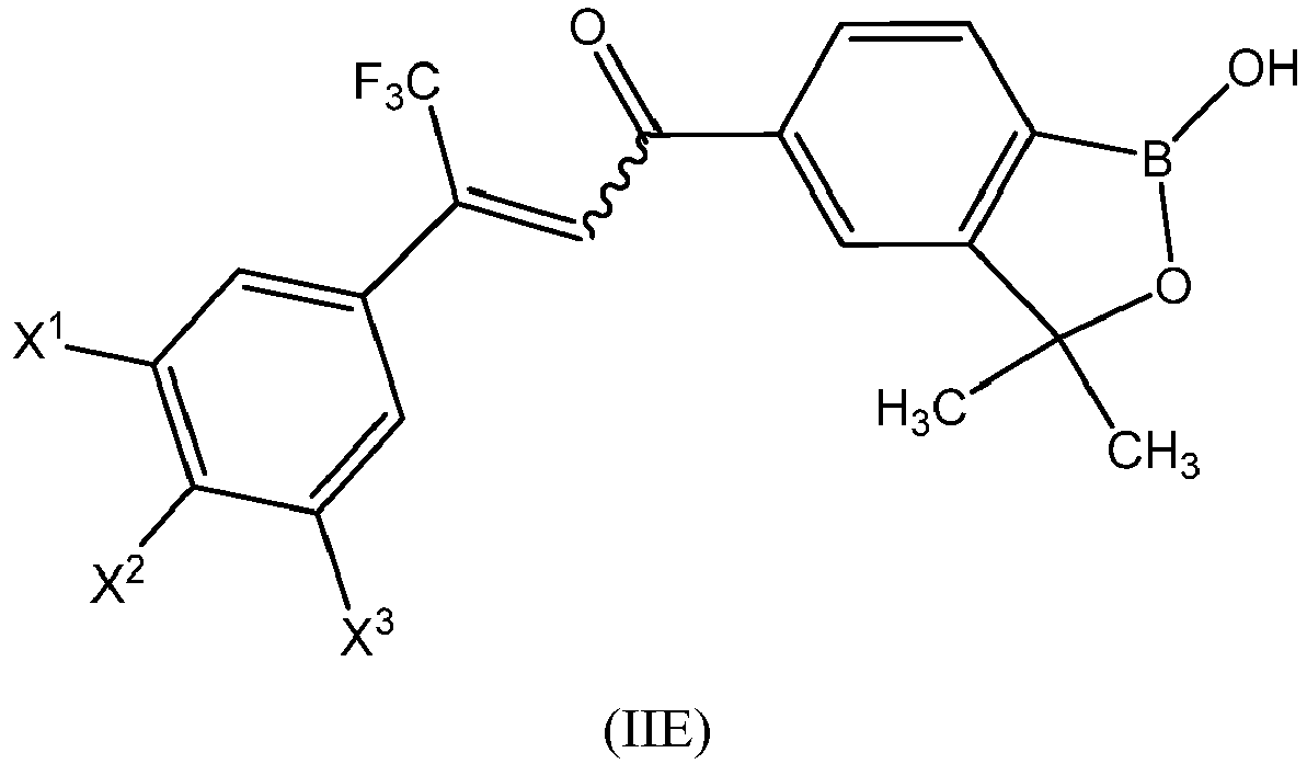 Figure imgb0100