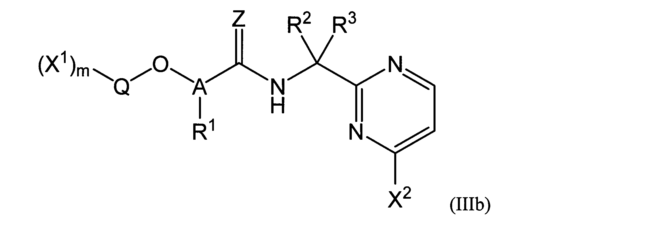 Figure JPOXMLDOC01-appb-C000008