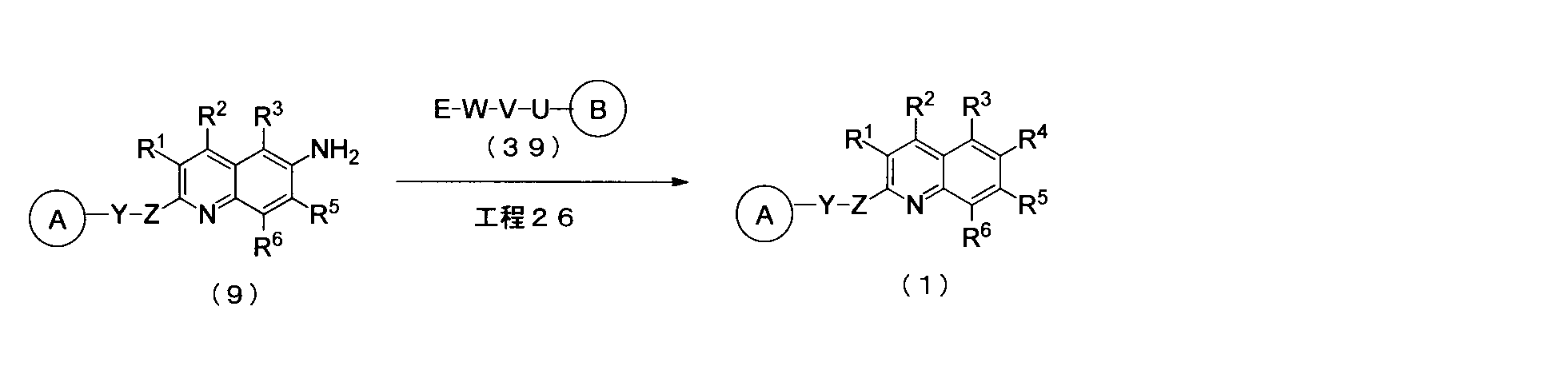 Figure JPOXMLDOC01-appb-C000032
