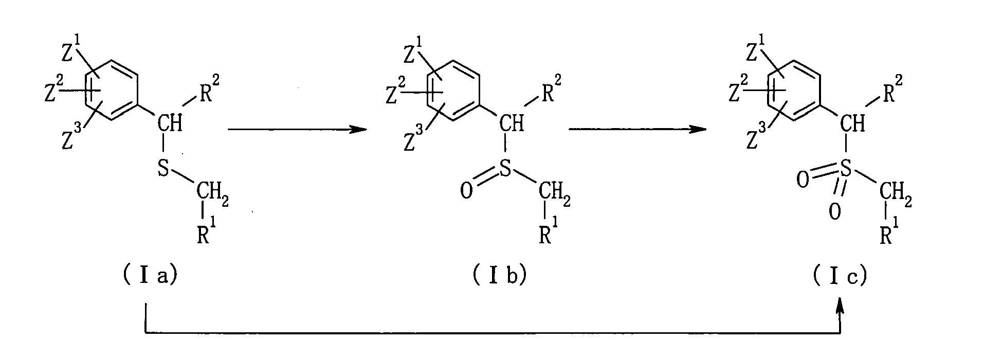 Figure imgb0013