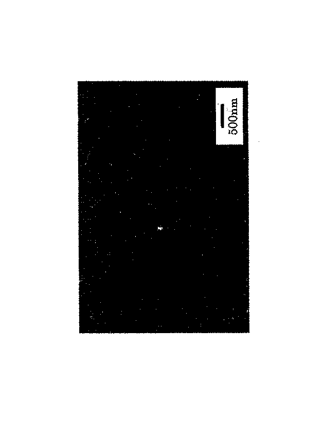 Figure 2005264256