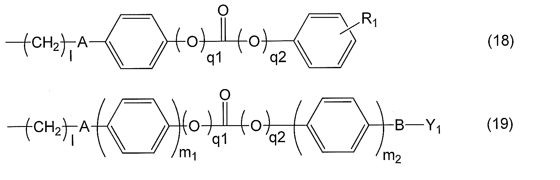 Figure JPOXMLDOC01-appb-C000012