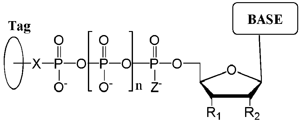 Figure imgb0002