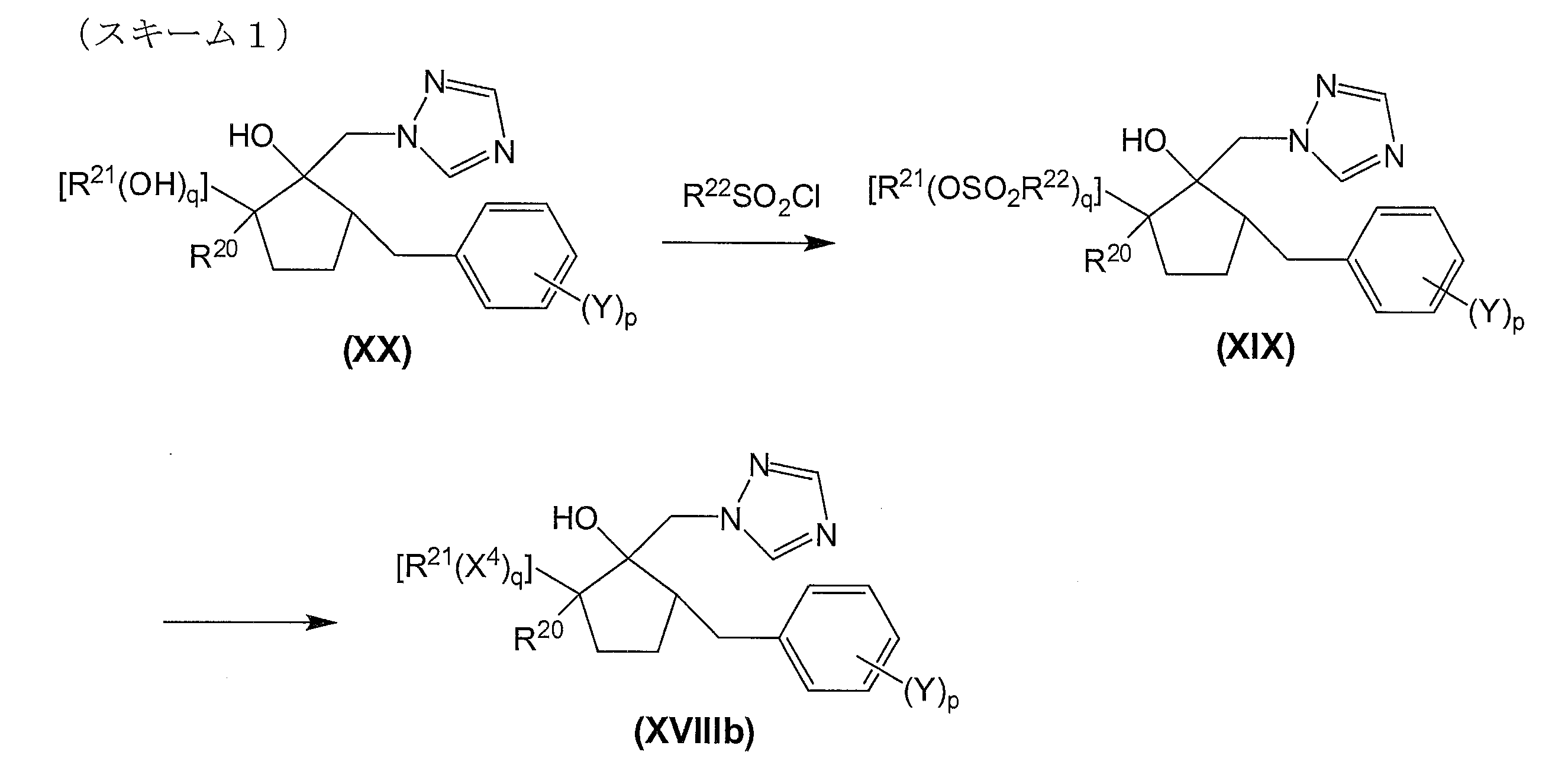 Figure JPOXMLDOC01-appb-C000020