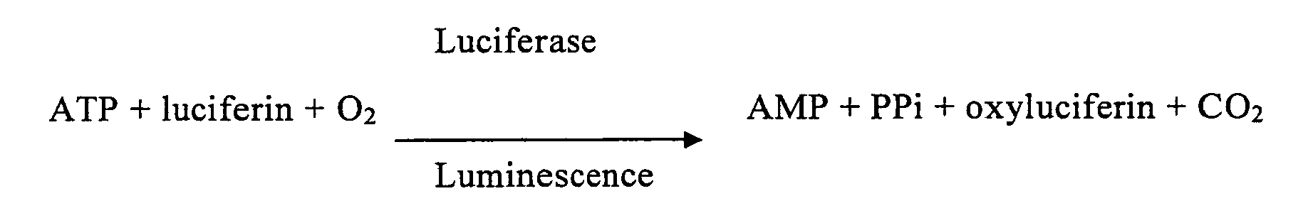 Figure imgb0002