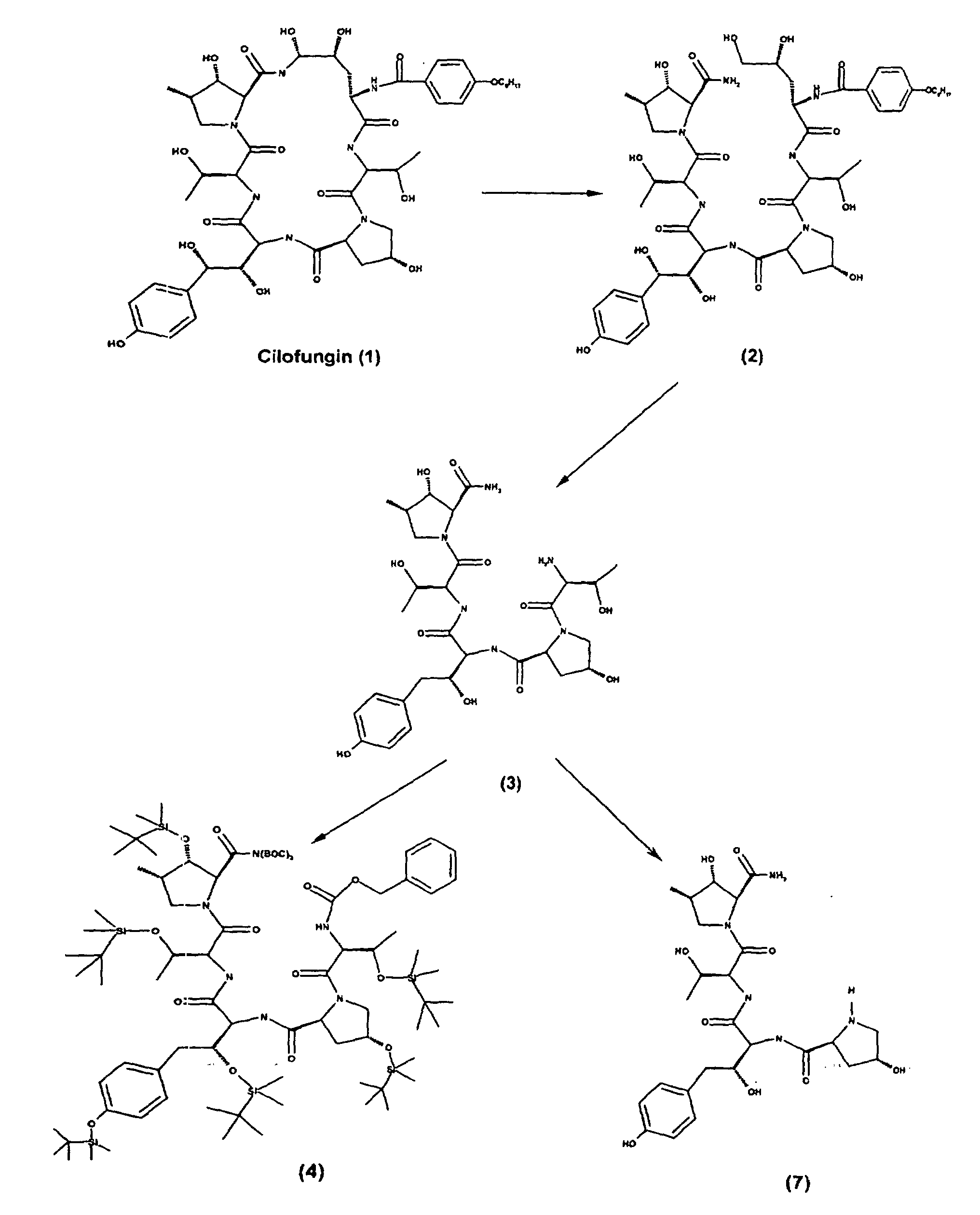Figure 00110001
