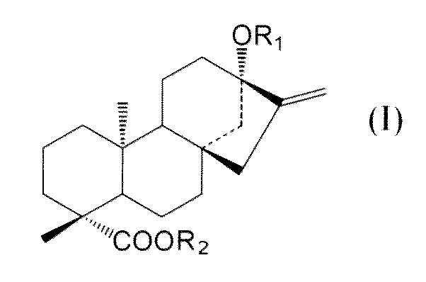 Figure JPOXMLDOC01-appb-C000032