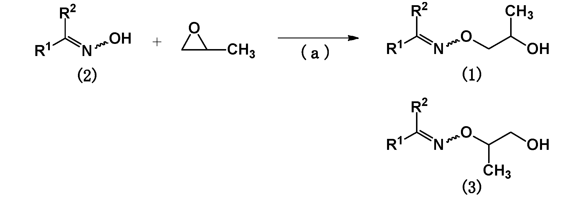 Figure JPOXMLDOC01-appb-C000006