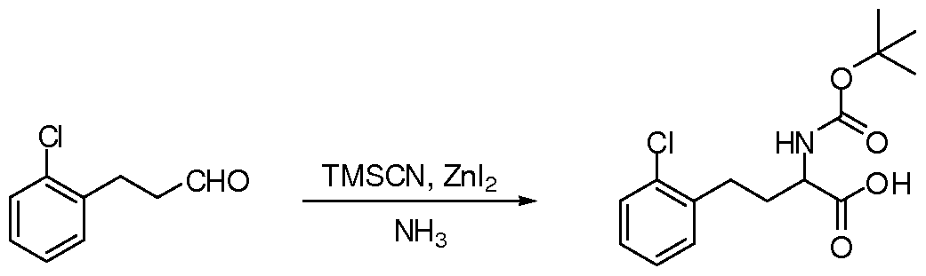 Figure imgf000073_0002