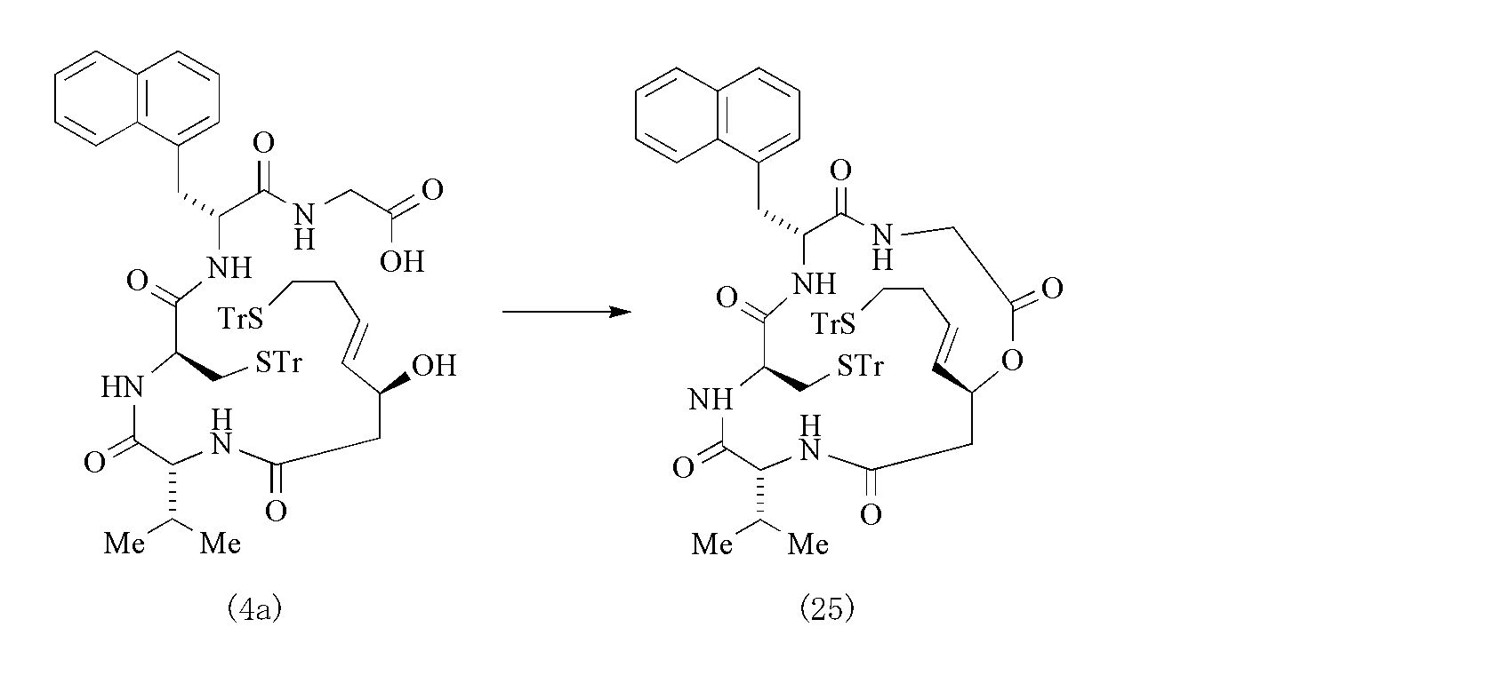 Figure JPOXMLDOC01-appb-C000053