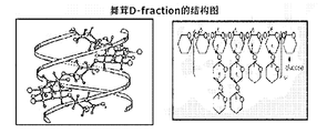 Woa1 舞茸及舞茸多糖d组分在制备抗抑郁药物中的用途 Google Patents