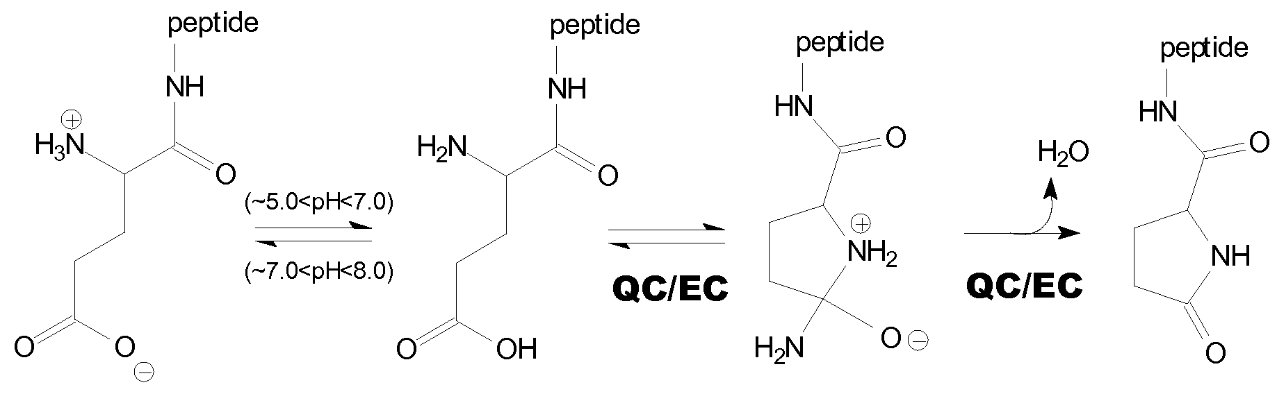 Figure imgf000005_0002