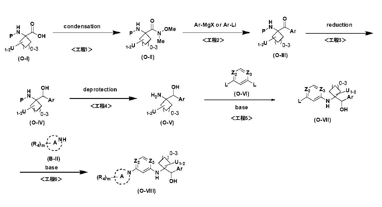 Figure JPOXMLDOC01-appb-C000042