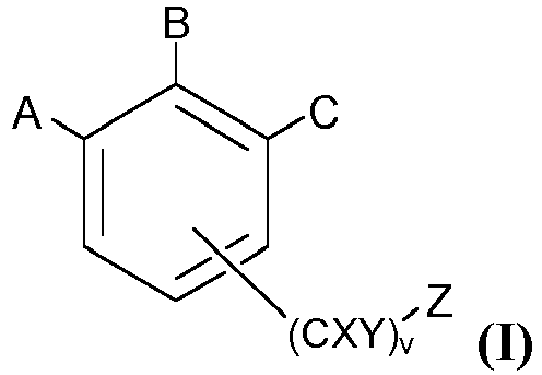 Figure imgb0004