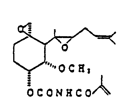 Figure imgb0044