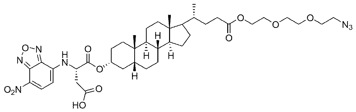 Figure imgf000053_0001
