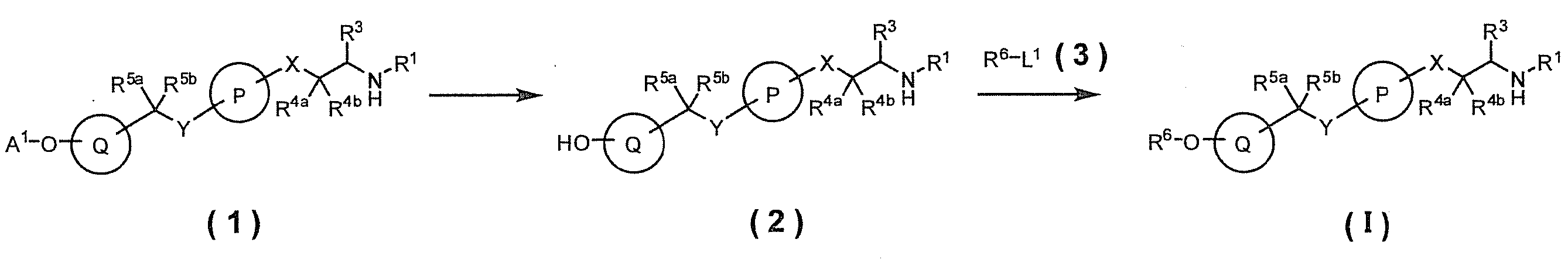 Figure JPOXMLDOC01-appb-C000025