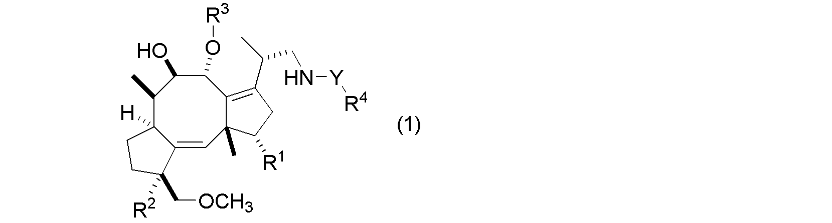 Figure JPOXMLDOC01-appb-C000017