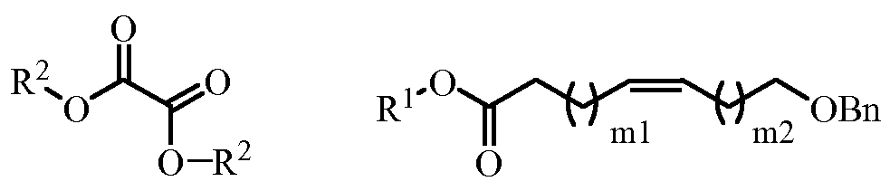 Figure imgf000011_0001
