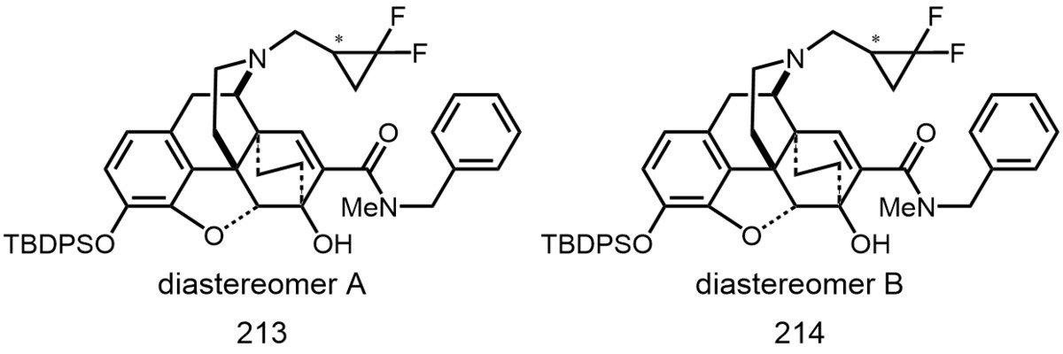 Figure JPOXMLDOC01-appb-C000219
