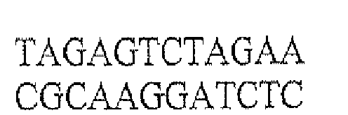 Figure imgb0042
