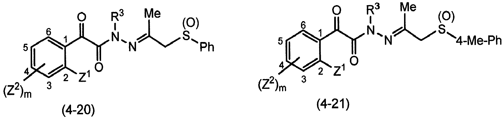 Figure imgb0113