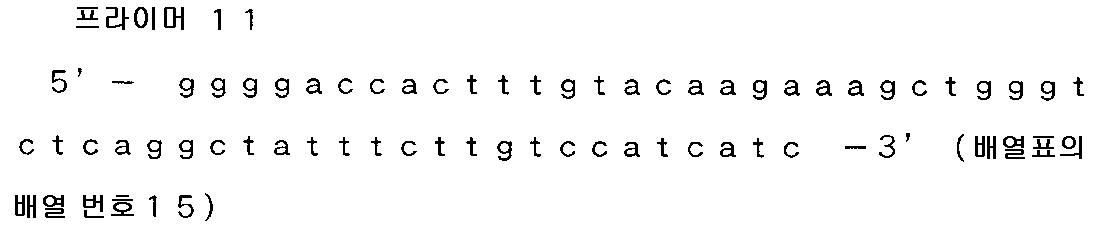 Figure pct00011