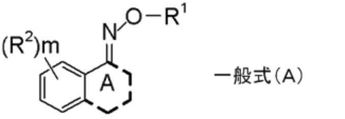 Figure JPOXMLDOC01-appb-C000017
