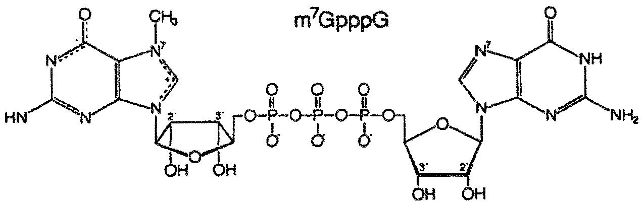 Figure imgf000053_0001