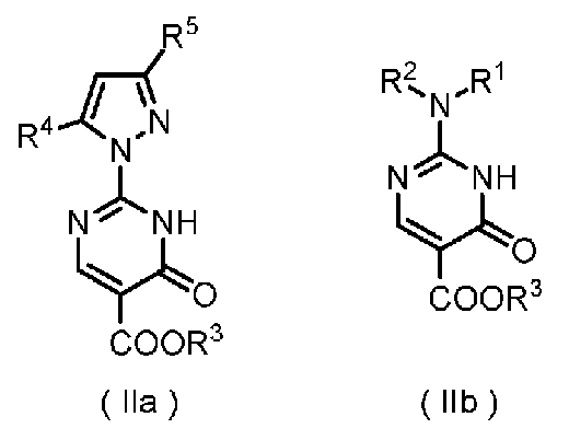 Figure JPOXMLDOC01-appb-C000009