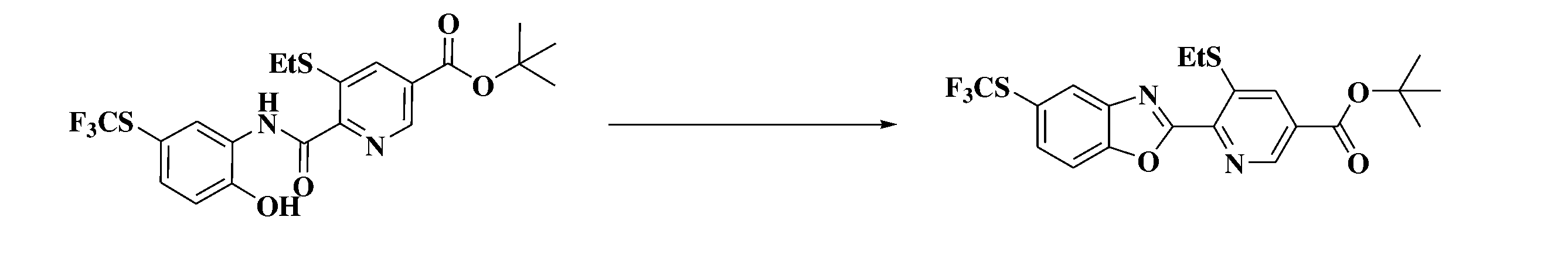 Figure JPOXMLDOC01-appb-C000049