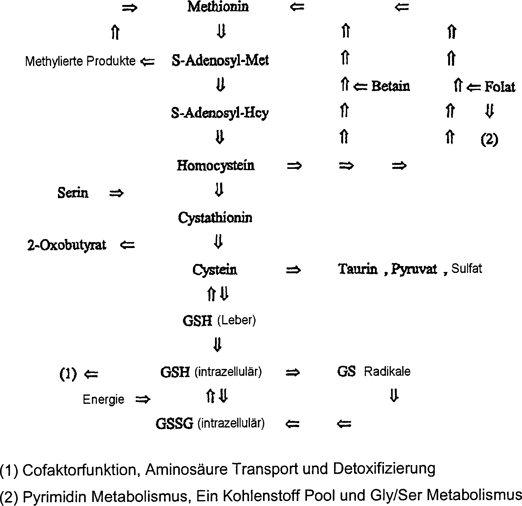 Magnesiumchlorid Gewichtsverlust Vorteile